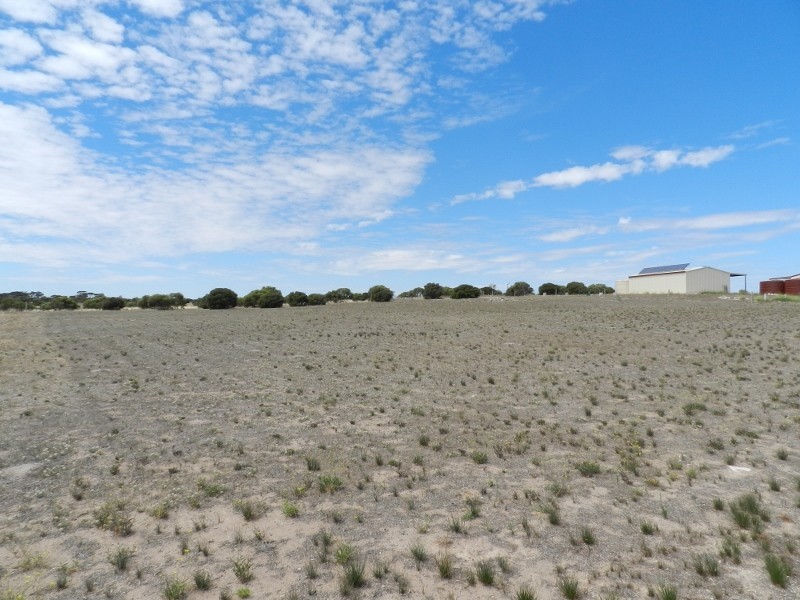 7 Falie Drive, Perlubie SA 5680