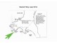 40 Whytwater Drive Fishermans Paradise, Streaky Bay SA 5680