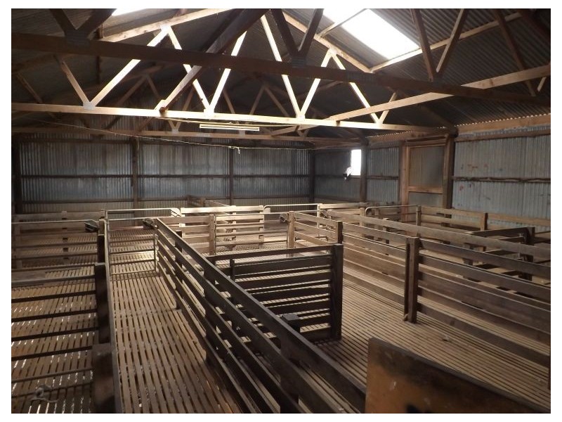 91 Eyre Highway, Bookabie SA 5690