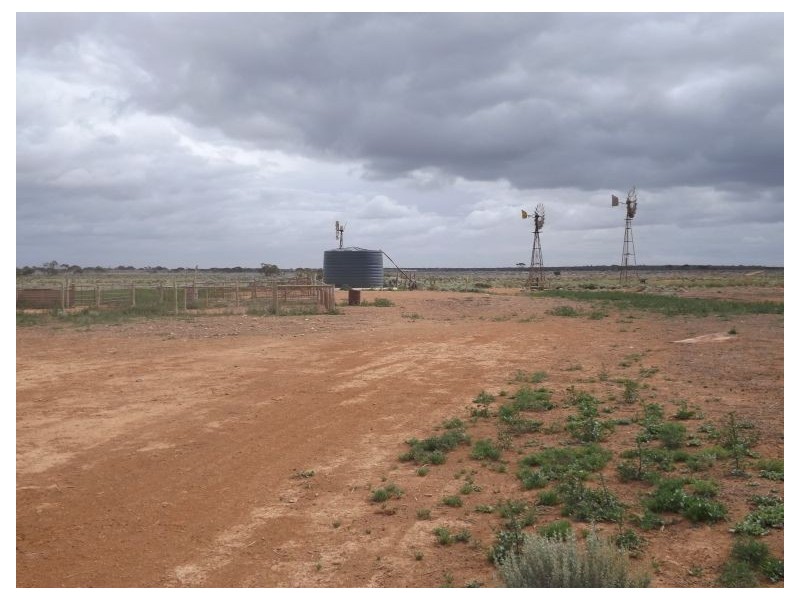 91 Eyre Highway, Bookabie SA 5690