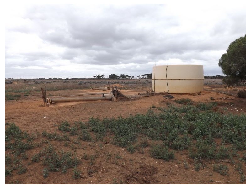 91 Eyre Highway, Bookabie SA 5690