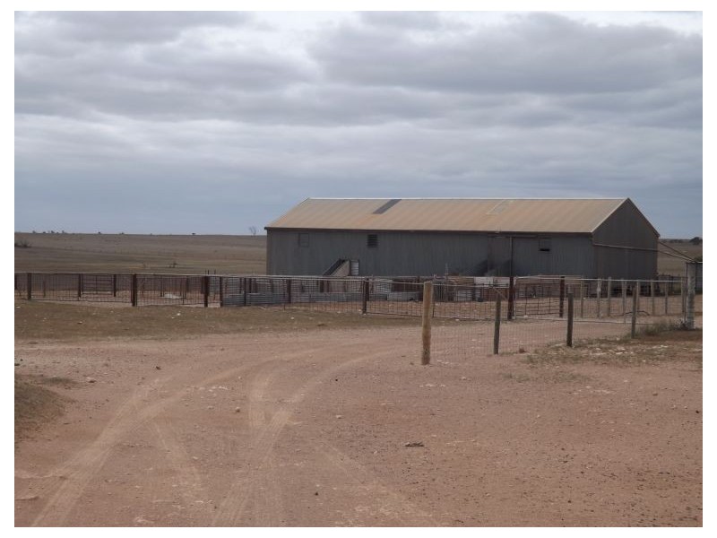 91 Eyre Highway, Bookabie SA 5690