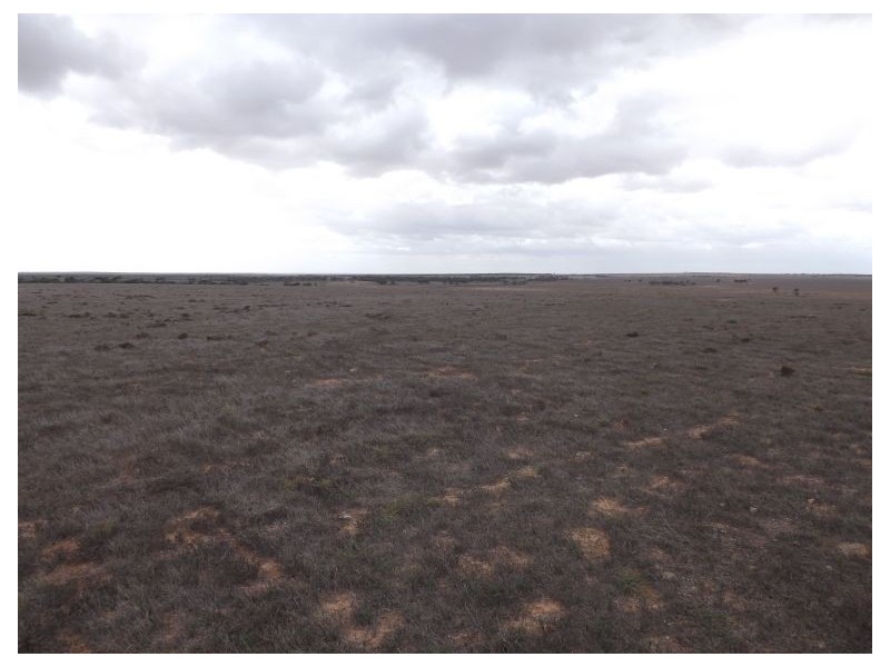 91 Eyre Highway, Bookabie SA 5690