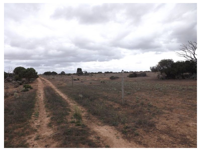 91 Eyre Highway, Bookabie SA 5690