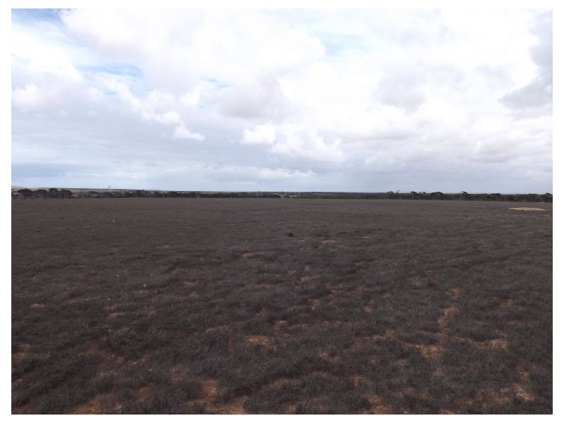 91 Eyre Highway, Bookabie SA 5690