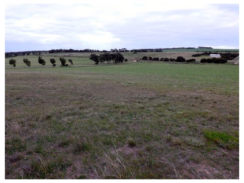 144 Woodlawn Road, Streaky Bay SA 5680