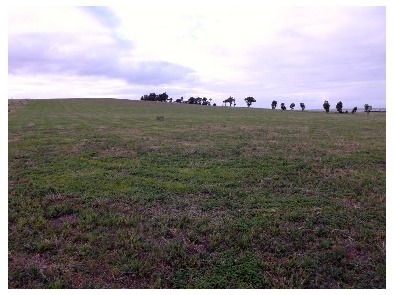 144 Woodlawn Road, Streaky Bay SA 5680