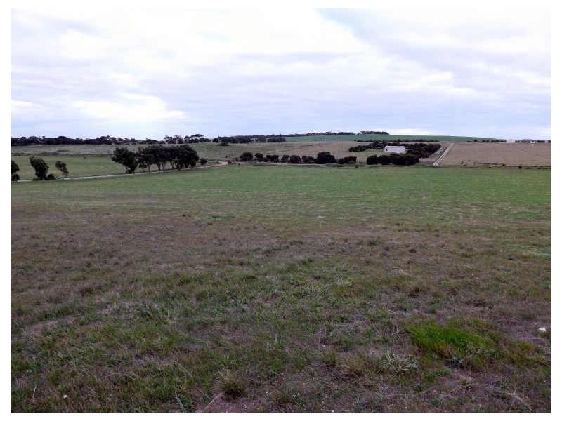 144 Woodlawn Road, Streaky Bay SA 5680