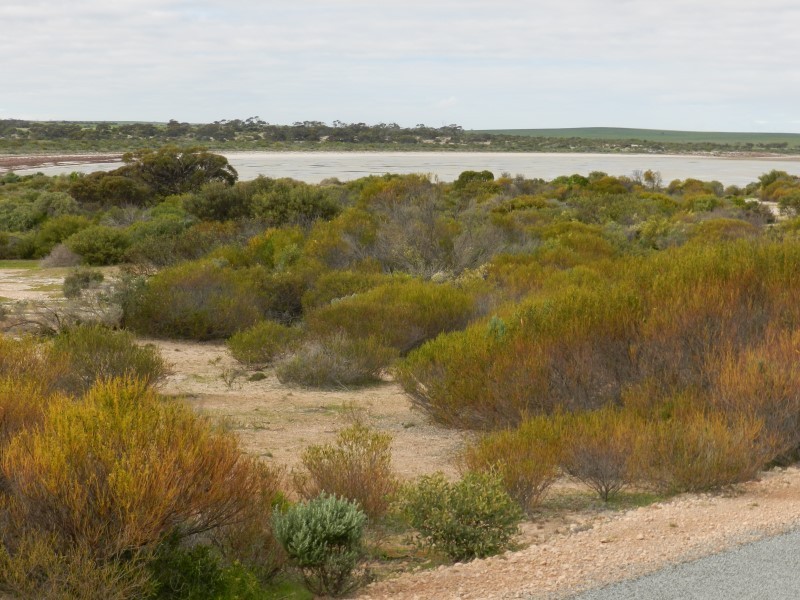 61 Deor Way, Eba Anchorage SA 5680