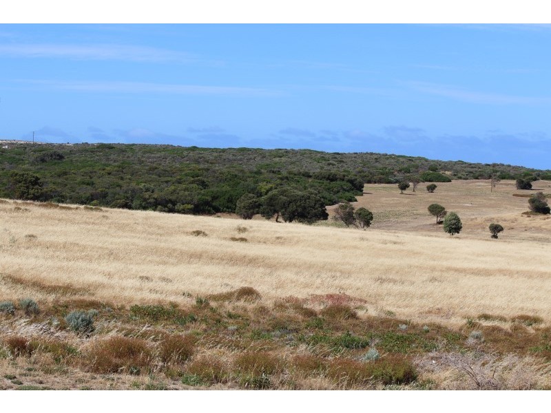 62 Beach Terrace, Elliston SA 5670