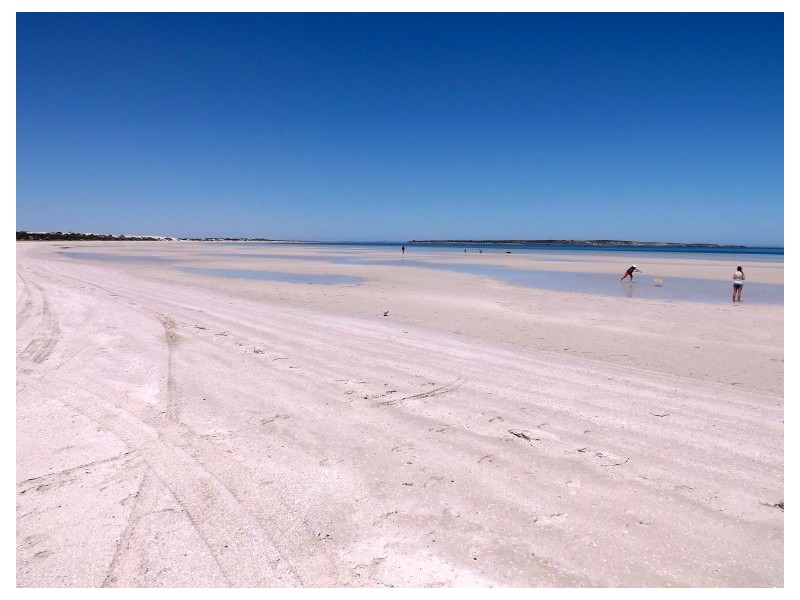 5 Seaview Road, Perlubie SA 5680