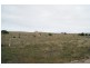 Lot 70 Main Street, Sheringa SA 5607