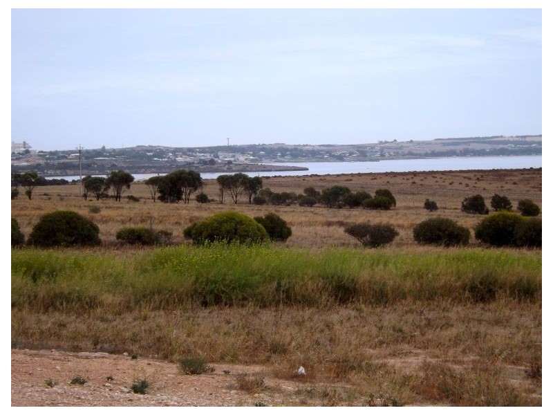 31 Mabie Road, Streaky Bay SA 5680
