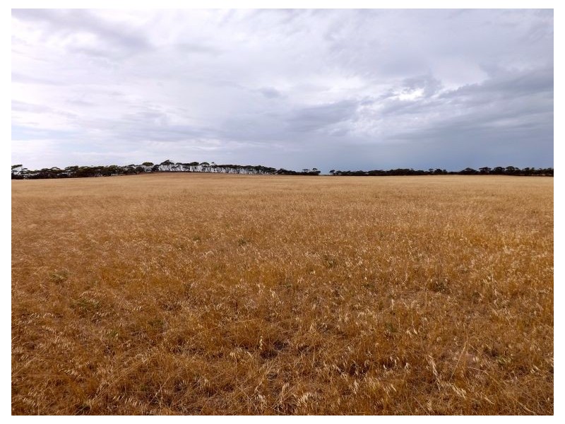 Sec 24-31 Flinders Highway, Smoky Bay SA 5680