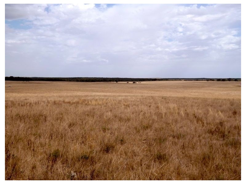 Sec 24-31 Flinders Highway, Smoky Bay SA 5680