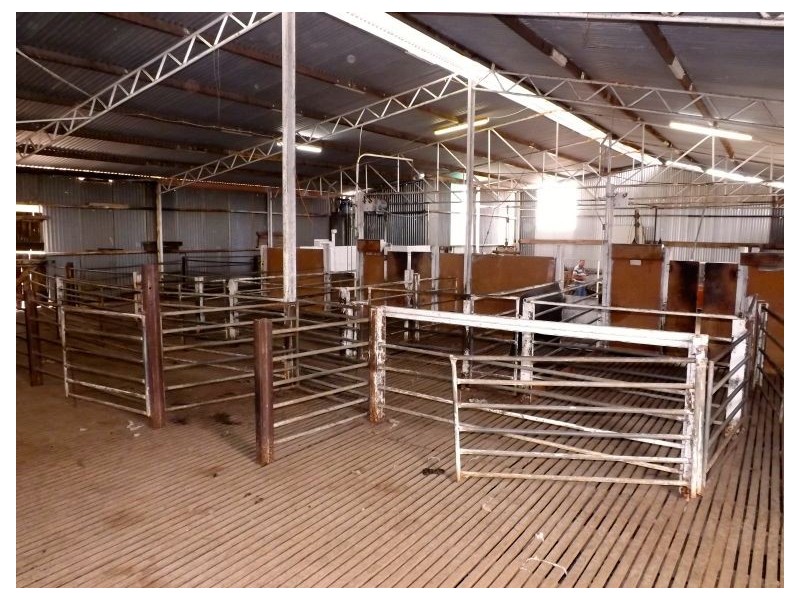 Sec 24-31 Flinders Highway, Smoky Bay SA 5680