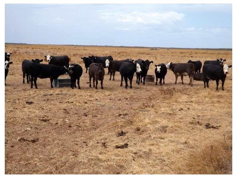 Sec 24-31 Flinders Highway, Smoky Bay SA 5680