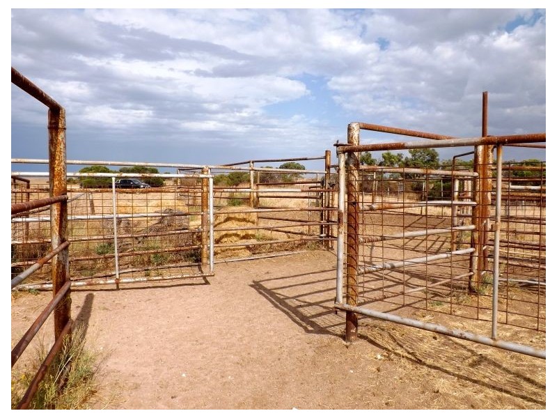 Sec 24-31 Flinders Highway, Smoky Bay SA 5680