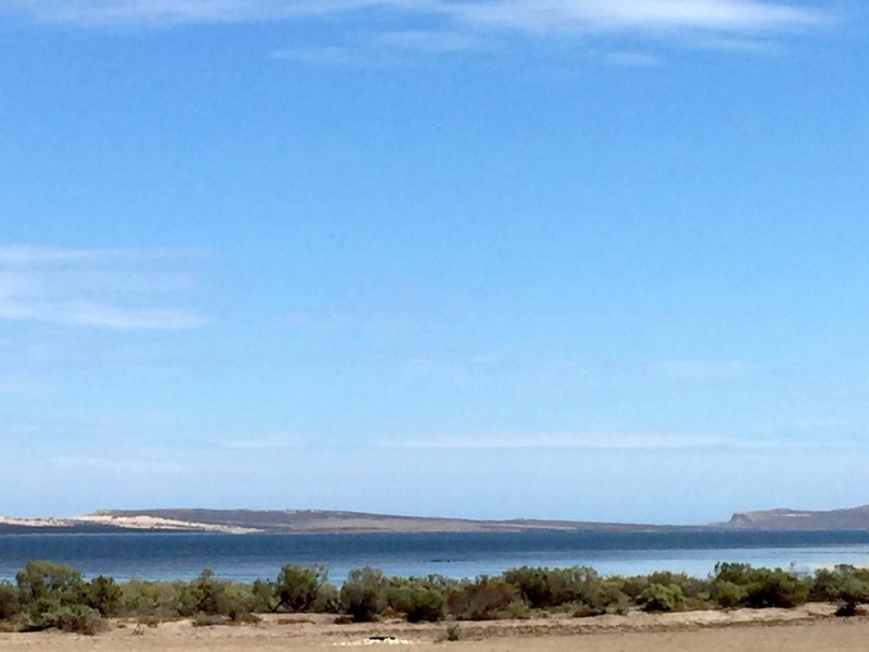 23135 Flinders Highway, Port Kenny SA 5671