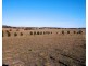 7 Kennedy Road, Streaky Bay SA 5680