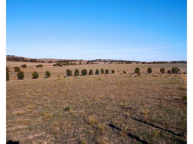 7 Kennedy Road, Streaky Bay SA 5680