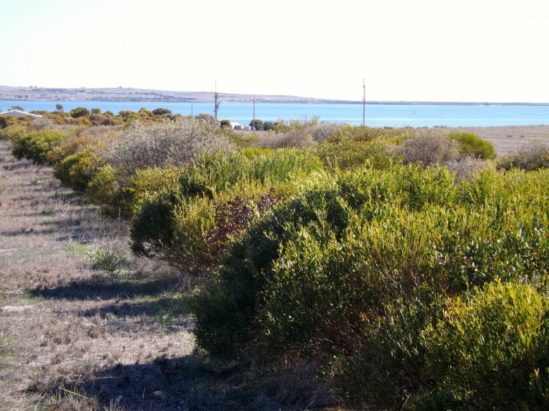 Allotment 22 Little Islands Road, Streaky Bay SA 5680