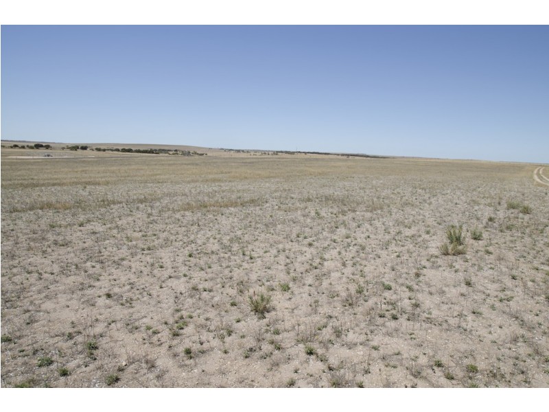 Sec 221 Jessie Flat Road, Streaky Bay SA 5680