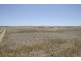 Sec 221 Jessie Flat Road, Streaky Bay SA 5680