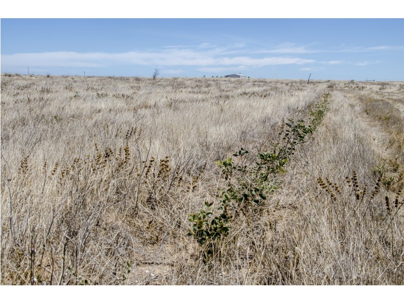 Allotment 53 Andersons Road, Streaky Bay SA 5680