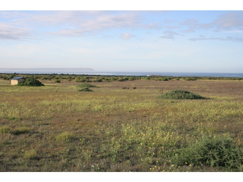 59 and 61 Whytwater Drive, Westall SA 5680