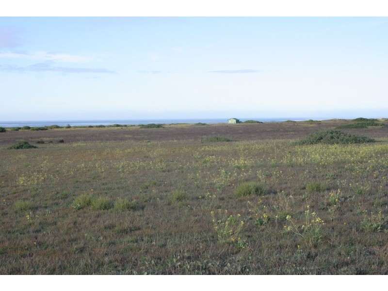 59 and 61 Whytwater Drive, Westall SA 5680