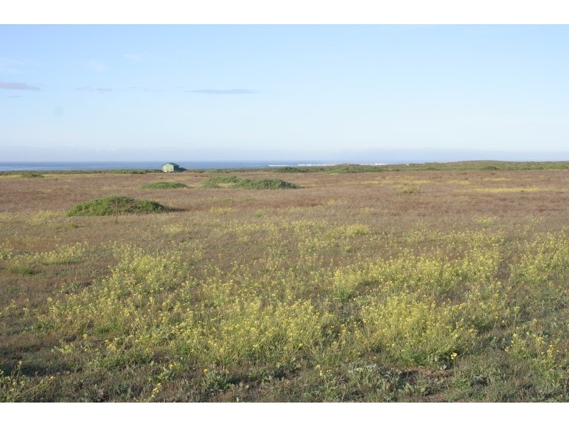 59 and 61 Whytwater Drive, Westall SA 5680