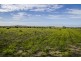Sec 125 Wallschutzky Road, Streaky Bay SA 5680