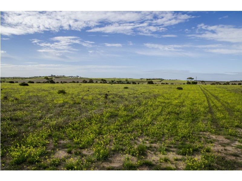 Sec 125 Wallschutzky Road, Streaky Bay SA 5680