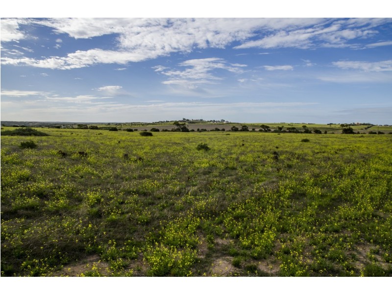Sec 125 Wallschutzky Road, Streaky Bay SA 5680