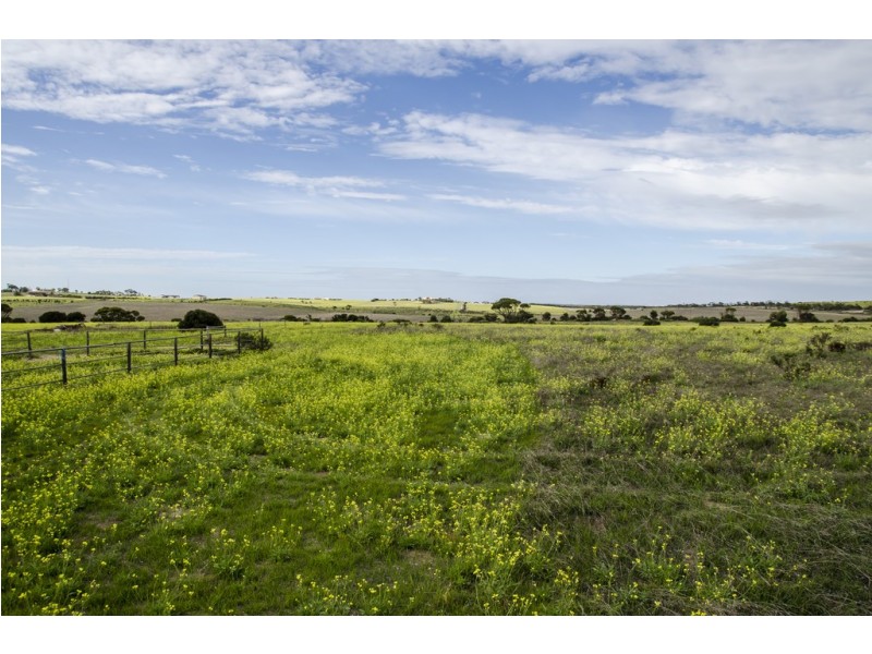 Sec 125 Wallschutzky Road, Streaky Bay SA 5680