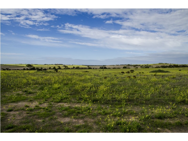 Sec 125 Wallschutzky Road, Streaky Bay SA 5680