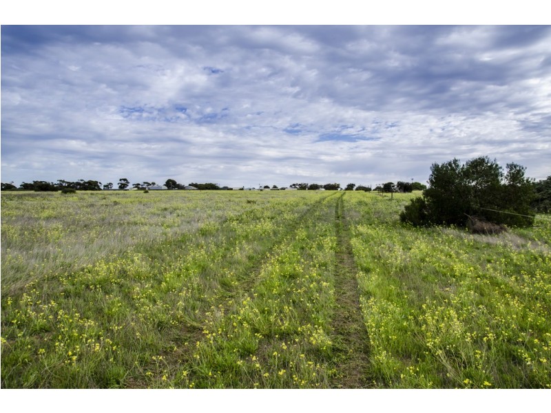 Sec 125 Wallschutzky Road, Streaky Bay SA 5680