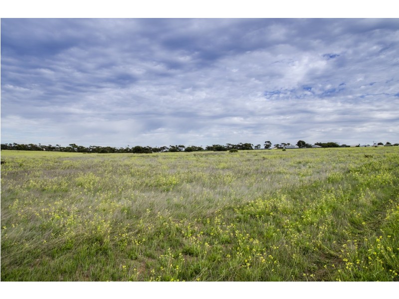 Sec 125 Wallschutzky Road, Streaky Bay SA 5680