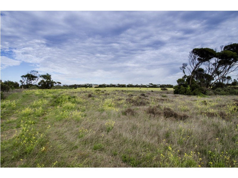 Sec 125 Wallschutzky Road, Streaky Bay SA 5680