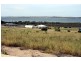 11 Bockelberg Hill Road, Streaky Bay SA 5680