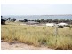 11 Bockelberg Hill Road, Streaky Bay SA 5680