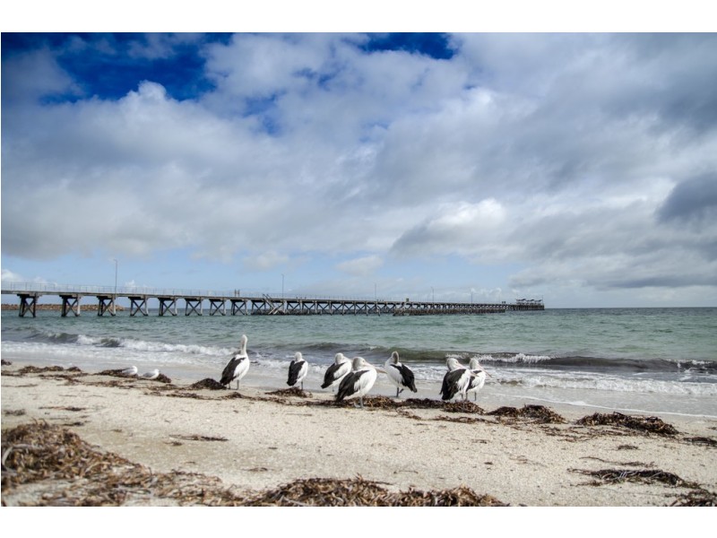 37 Denton Street, Smoky Bay SA 5680