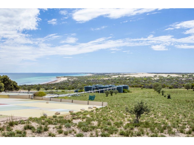 31459 Flinders Highway, Perlubie SA 5680