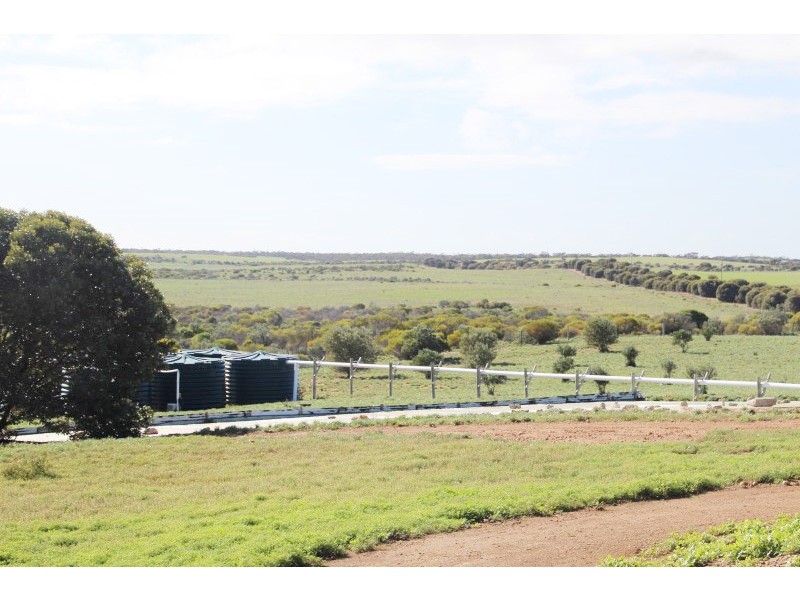 31459 Flinders Highway, Perlubie SA 5680