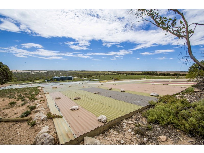 31459 Flinders Highway, Perlubie SA 5680