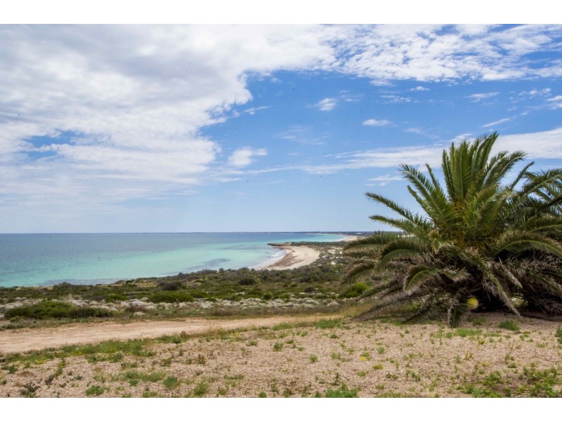 31459 Flinders Highway, Perlubie SA 5680