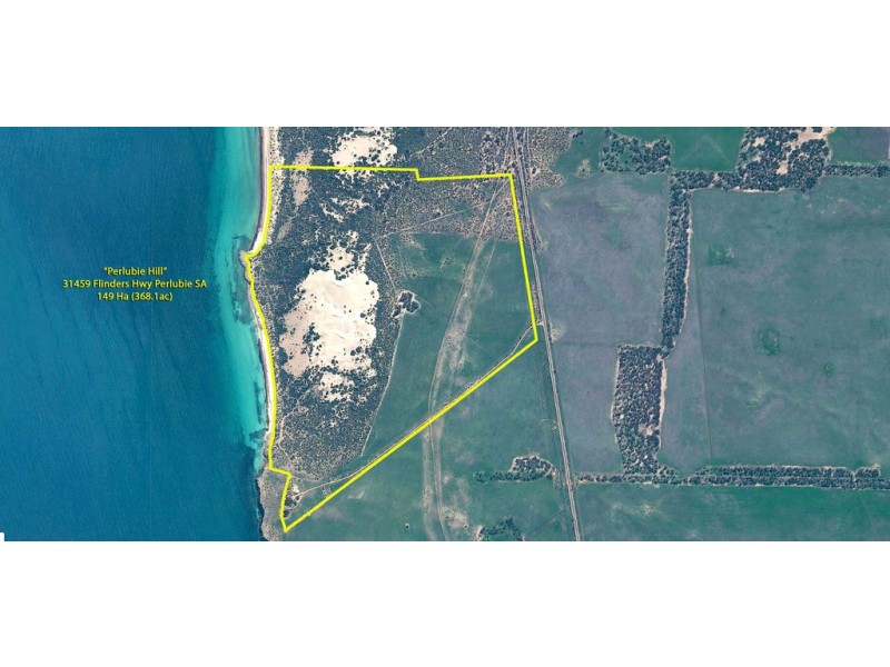 31459 Flinders Highway, Perlubie SA 5680