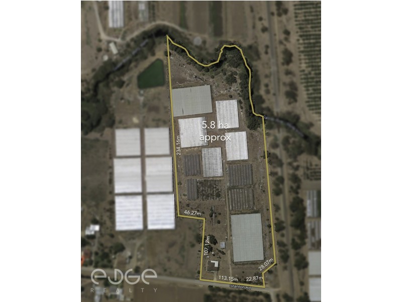 55 Stanton Road, Virginia SA 5120