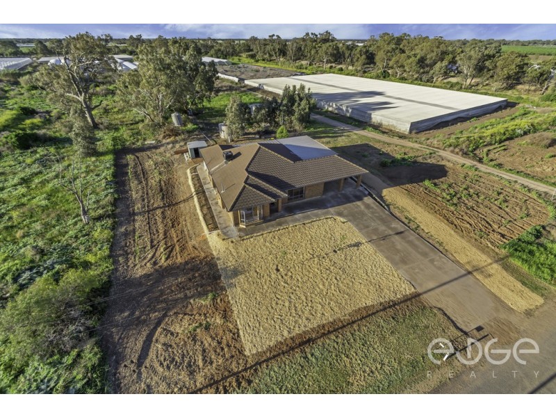 55 Stanton Road, Virginia SA 5120